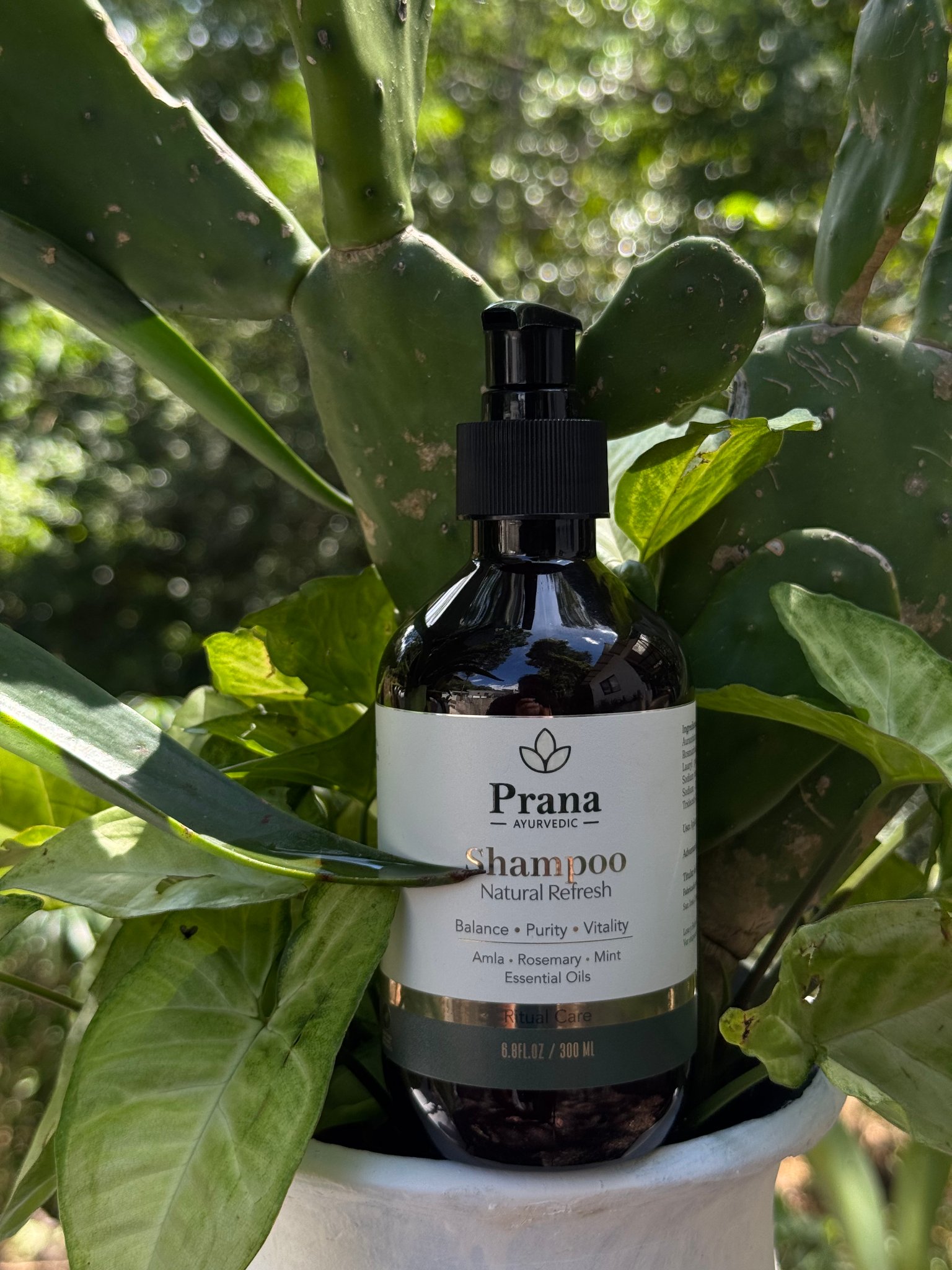 Feel Natural, Feel Fresh!