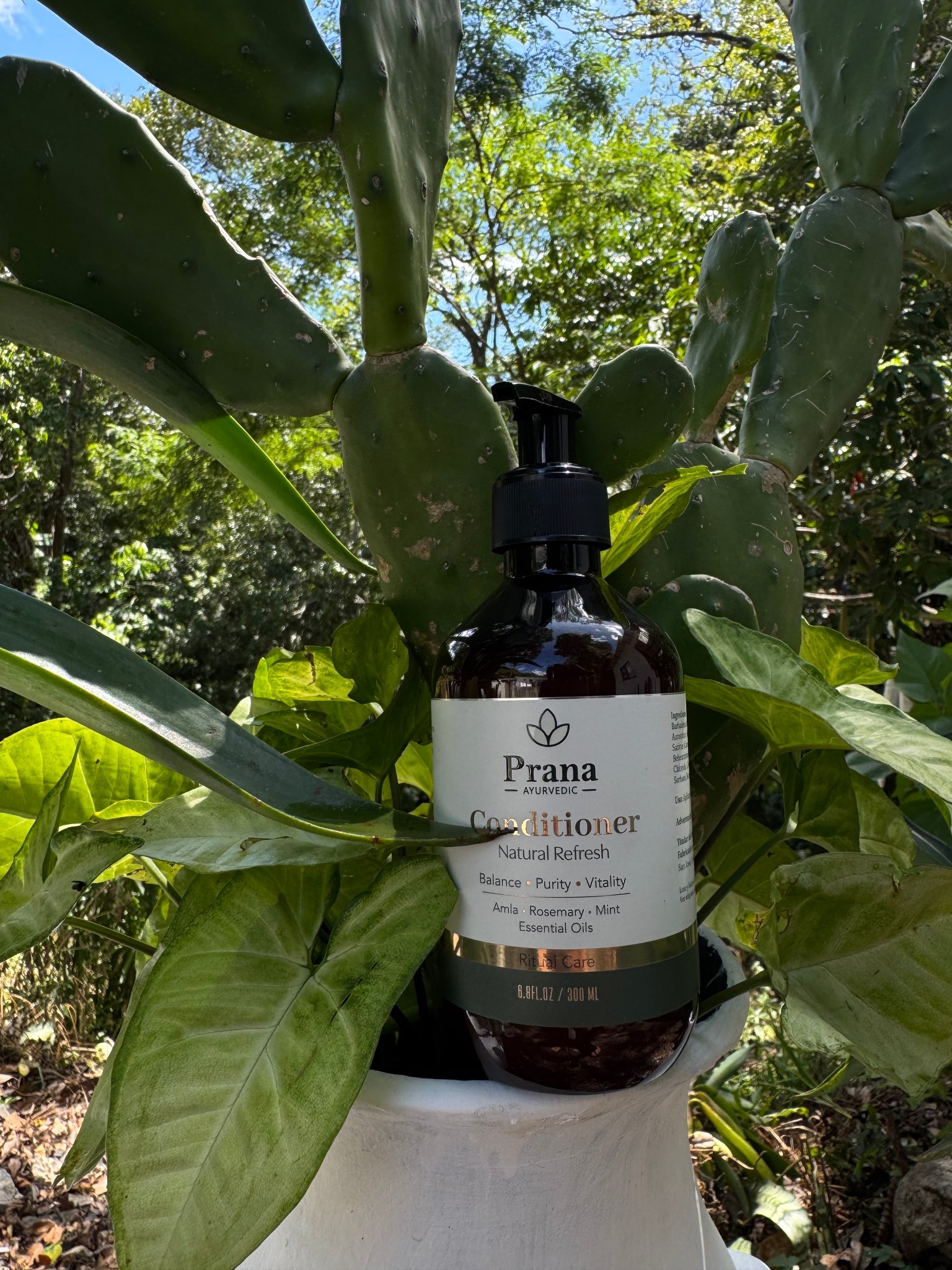 Feel Natural, Feel Fresh!